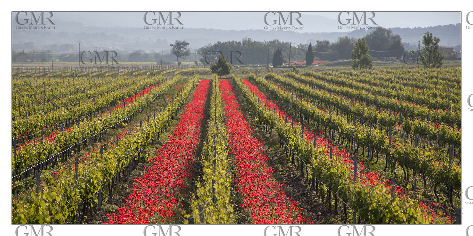 Product: in house made quality print on 8 ultrachome colors Epson ink Jet printer.Available sizes: . 50 x 100 cm. 100 x 200 cmAvailable papers: . Standard 250 gr glossy paper print, black streak, white margin, no signature. Top quality glossy 290 gr. paper, black streak, white margin, checked and signed by the author. Fine Art print (signed, numbered, stamped, registered) on demand. Other supports (Canvas, Acrylic, Metal) on demandPackaging: cylindric reinforced tubeShipping options: regular mail or Shipping companyClick on the basket icon to select your options and start the online ordering process