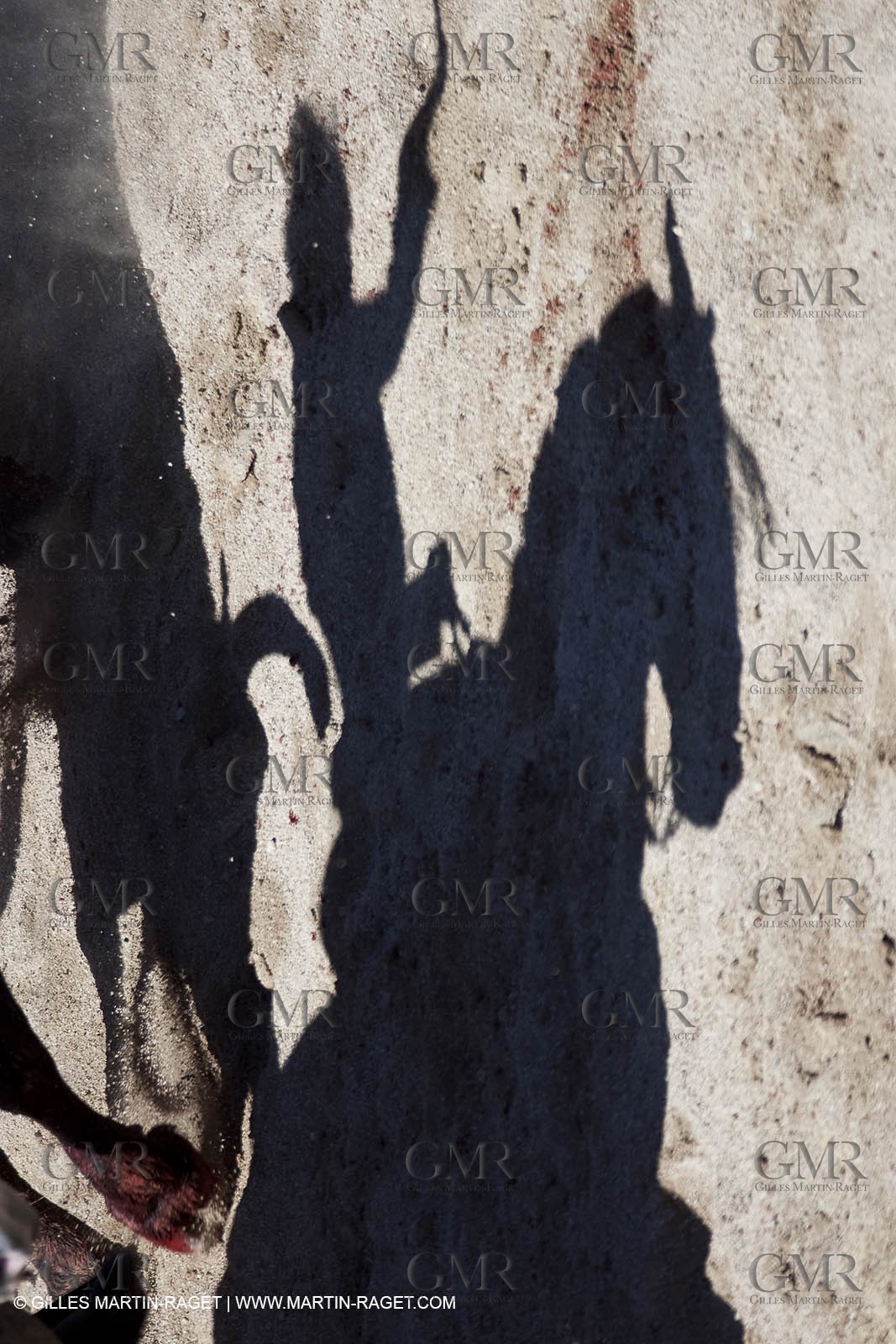 Lundi 05 04 2010 - Arles (FRA,13) - Feria 2010 -Corrida de rejon - Fermin Bohorquez - Pabloe Hemoso de Mendoza - Andy Cartagena - Toros Bohorquez