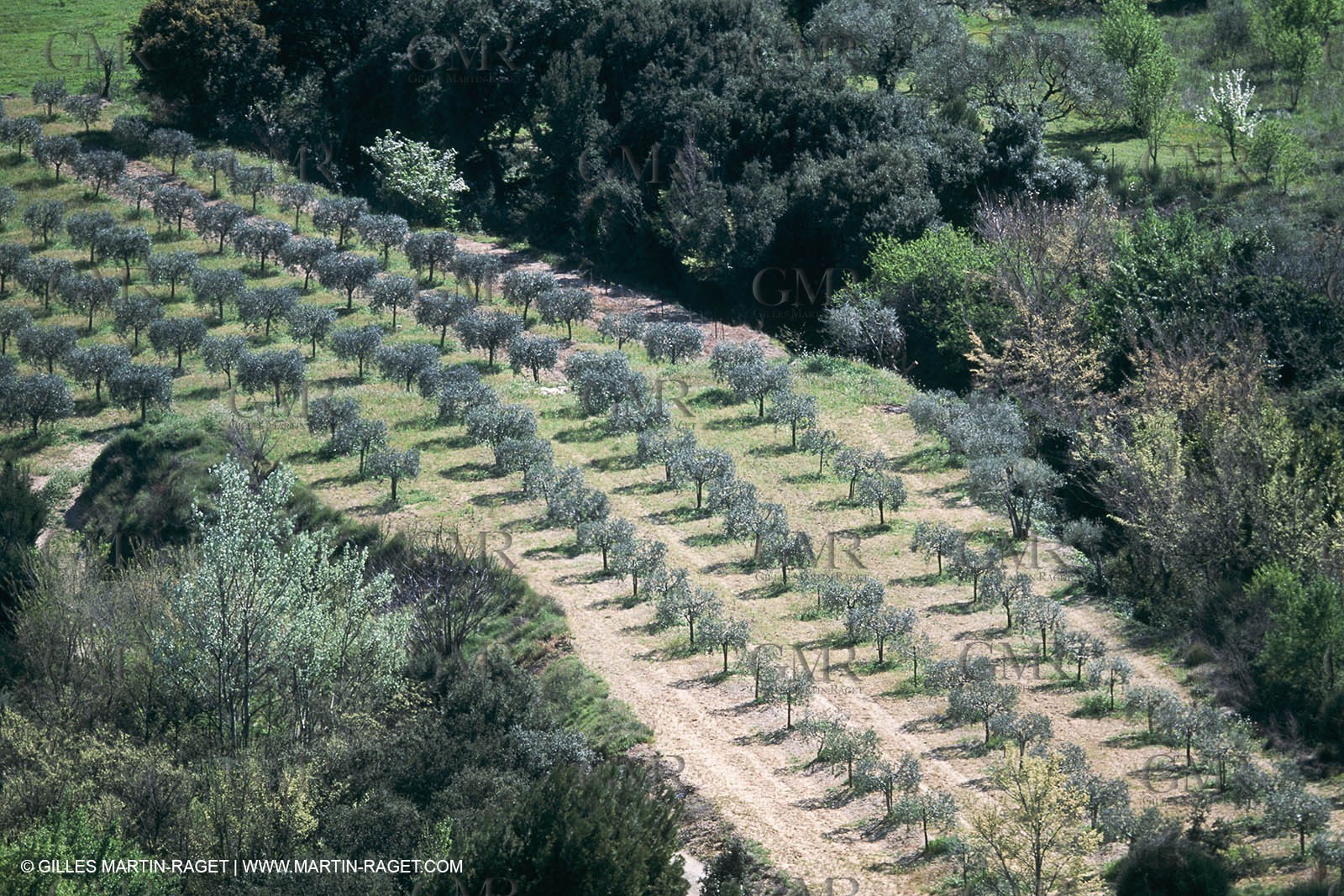 Paysages de Nîmes Métropole (FRA,30) - La Vaunage