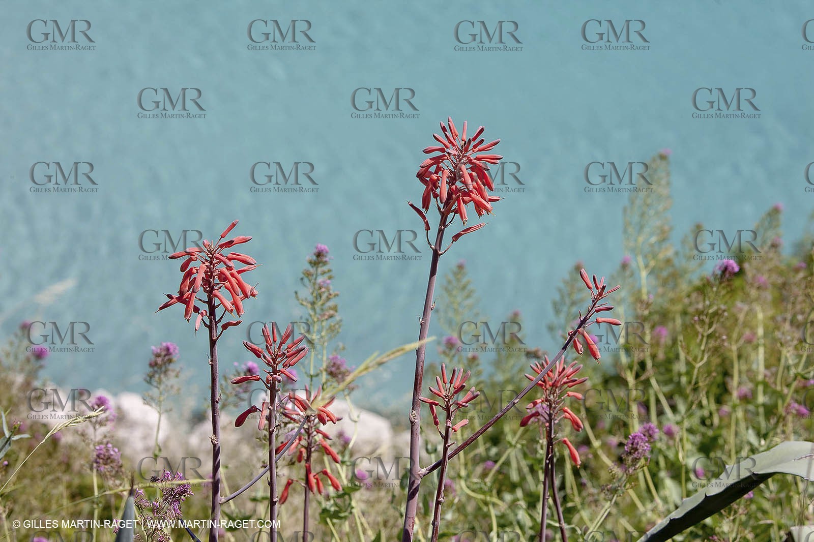 27 05 2009 - Marseille (FRA, 13) - Les Calanques - Sormiou