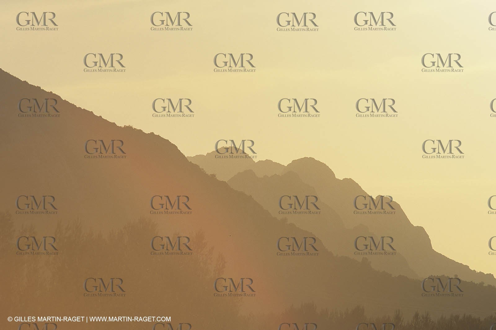 France , Provence, Paysage des Alpilles, Landscapes