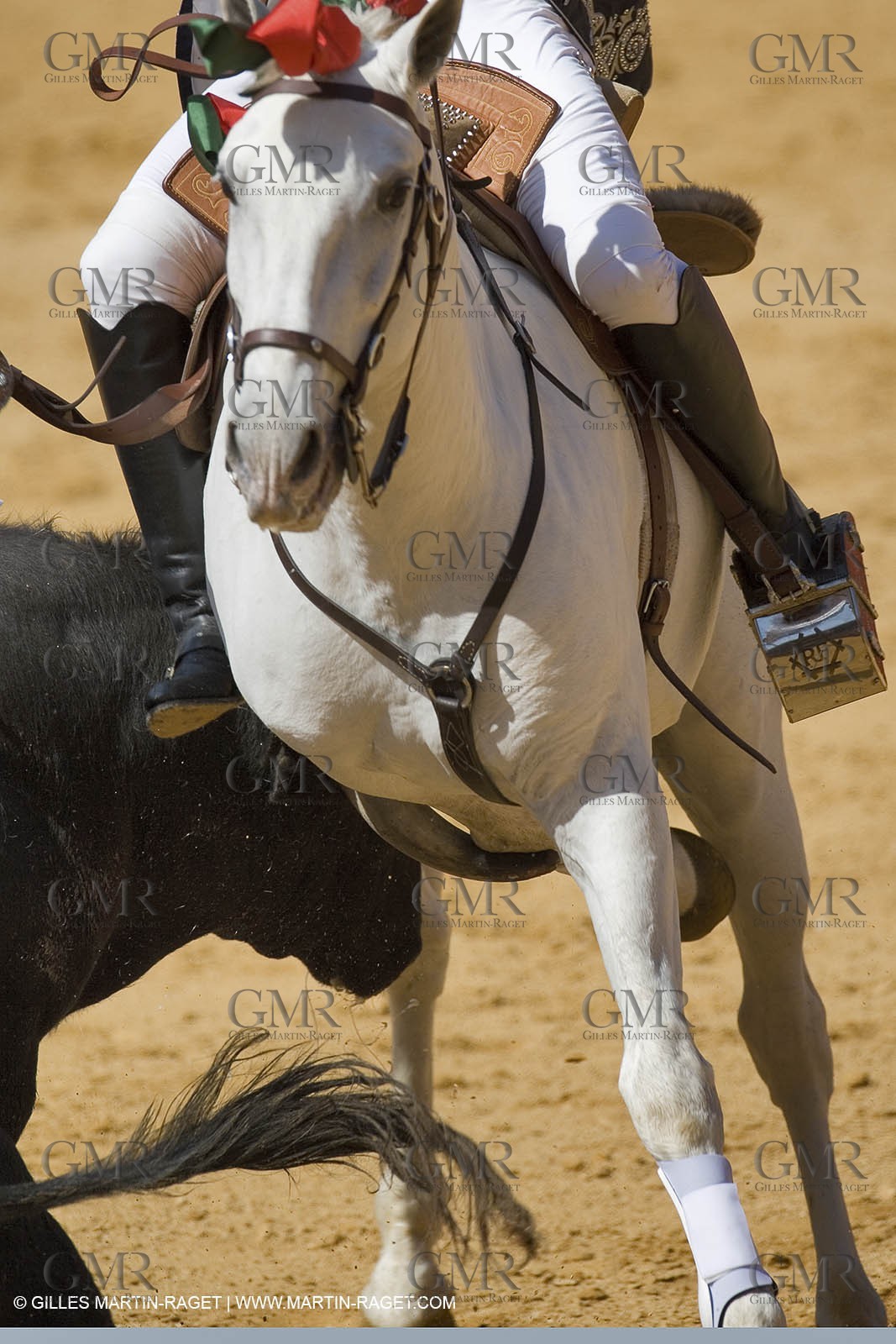 2006 Winter training - March 2006