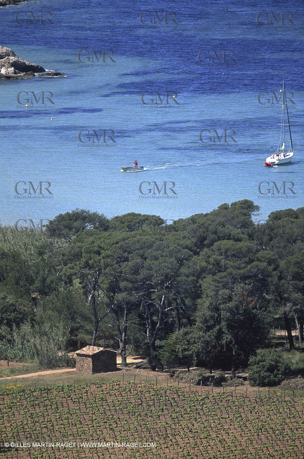 Var, 'Hyères islands, (FRA, 83), Porquerolles island