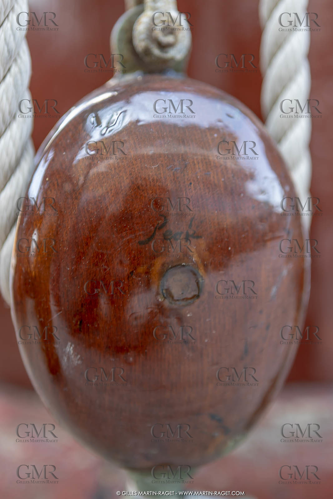 29 03 2019, Barcelona (Spain), Marigold