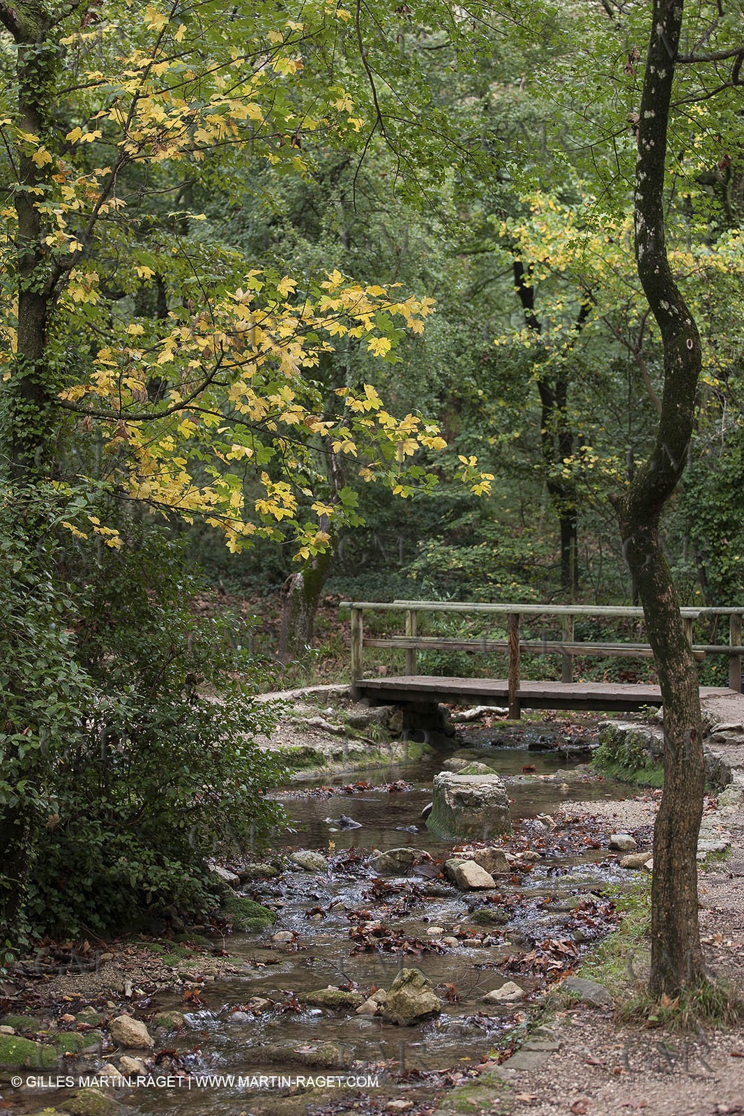 23 10 2012 - Gemenos (FRA) - Départemental Park of Saint Pons valley