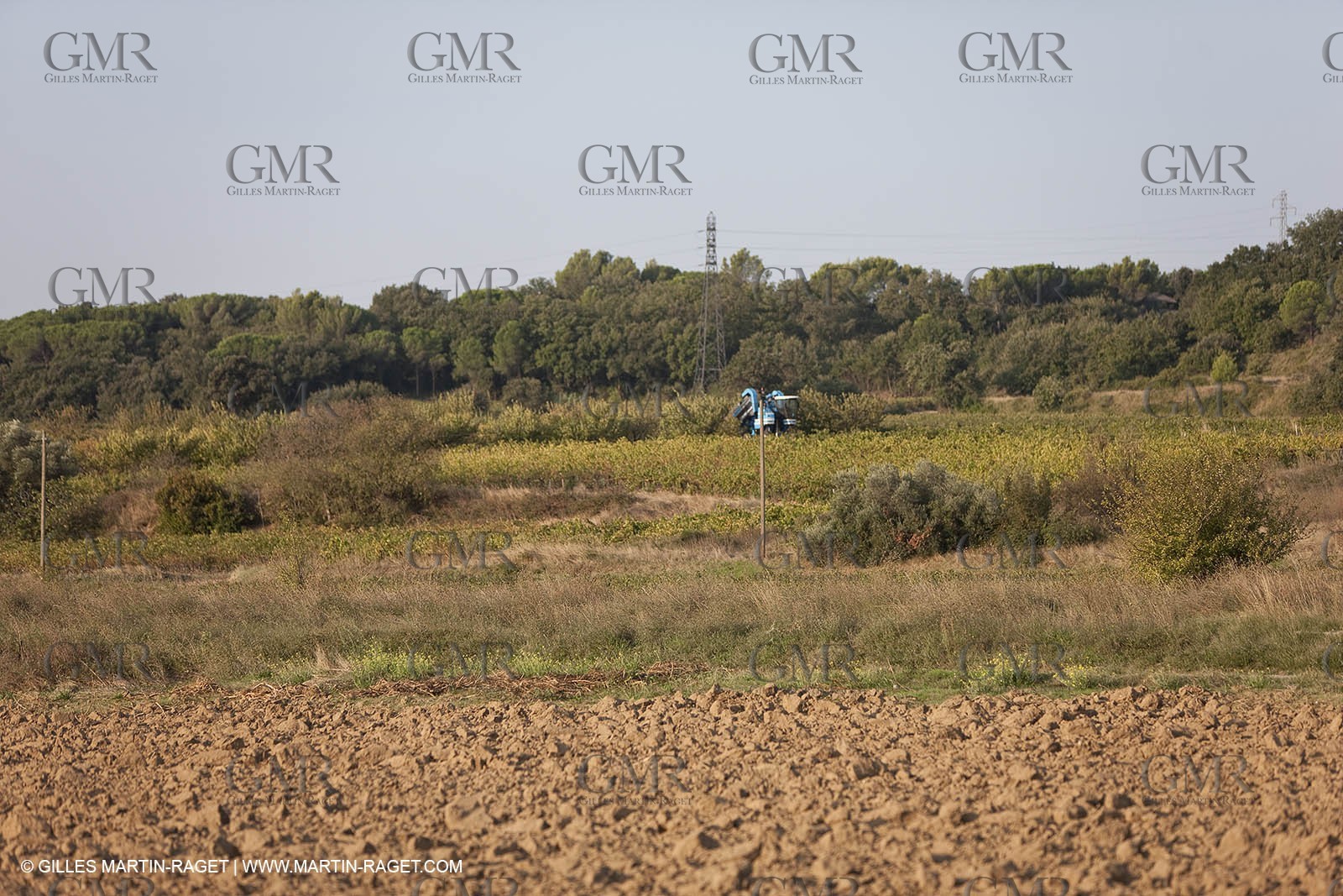 25 09 2009 - Sernhac (FRA,30)