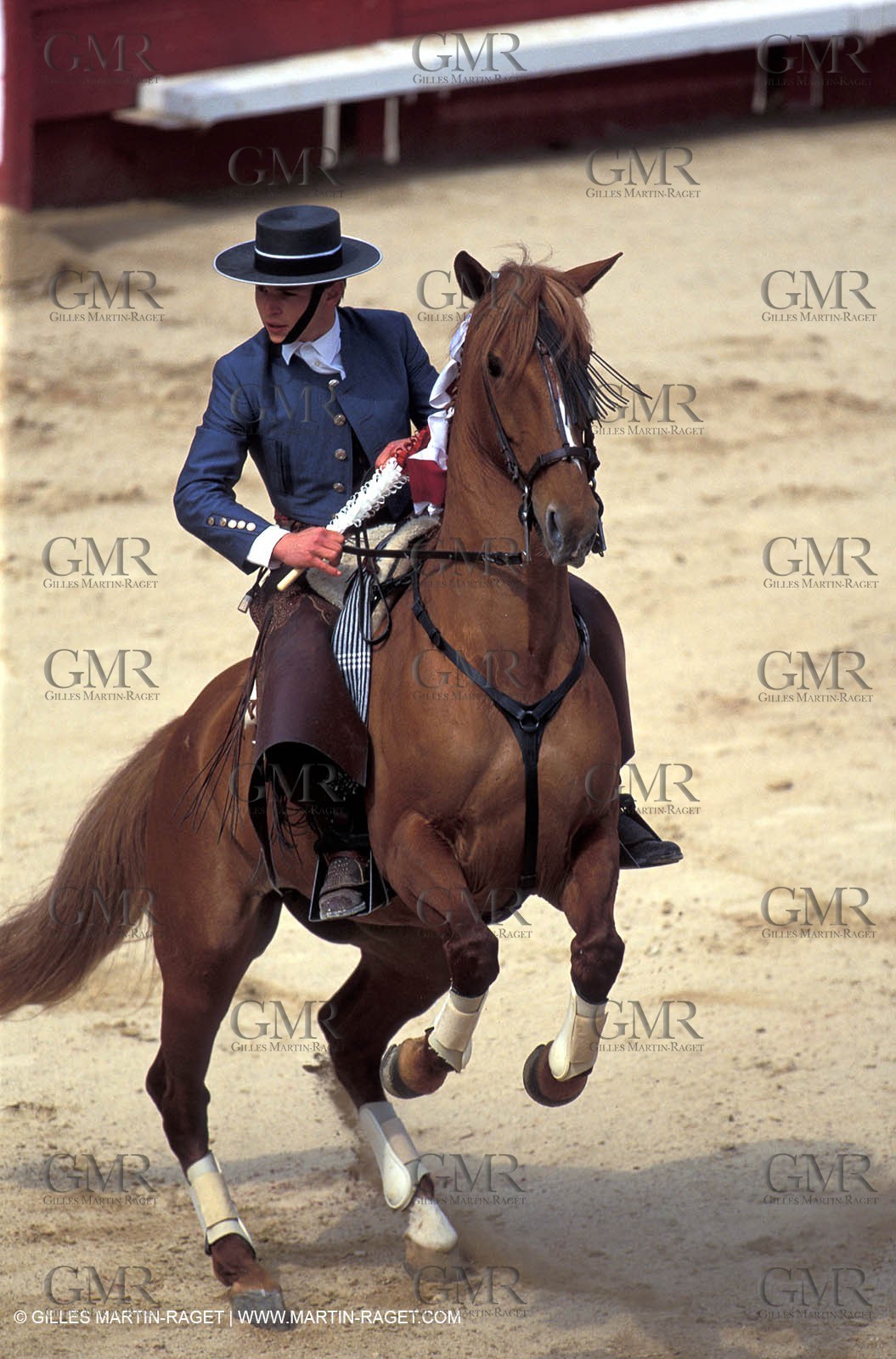 Rejon Bullfight - Rejoneadores
