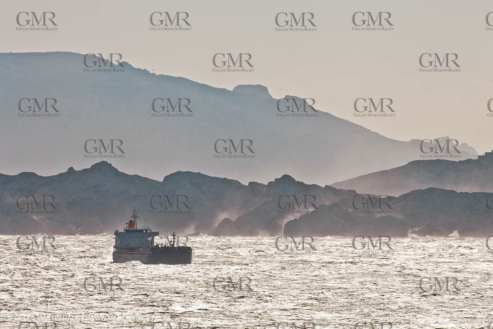 25 10 2010 - Marseille (FRA,13) - Navires au mouillage en raison d'un grève du personnel portuaire