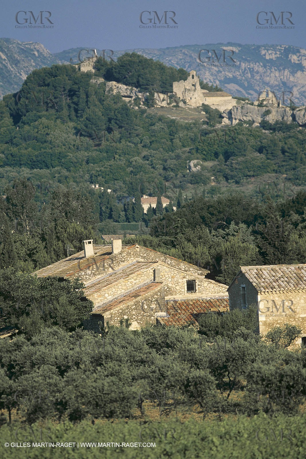 France, Provence, paysage des Alpilles, Alpilles landscapes