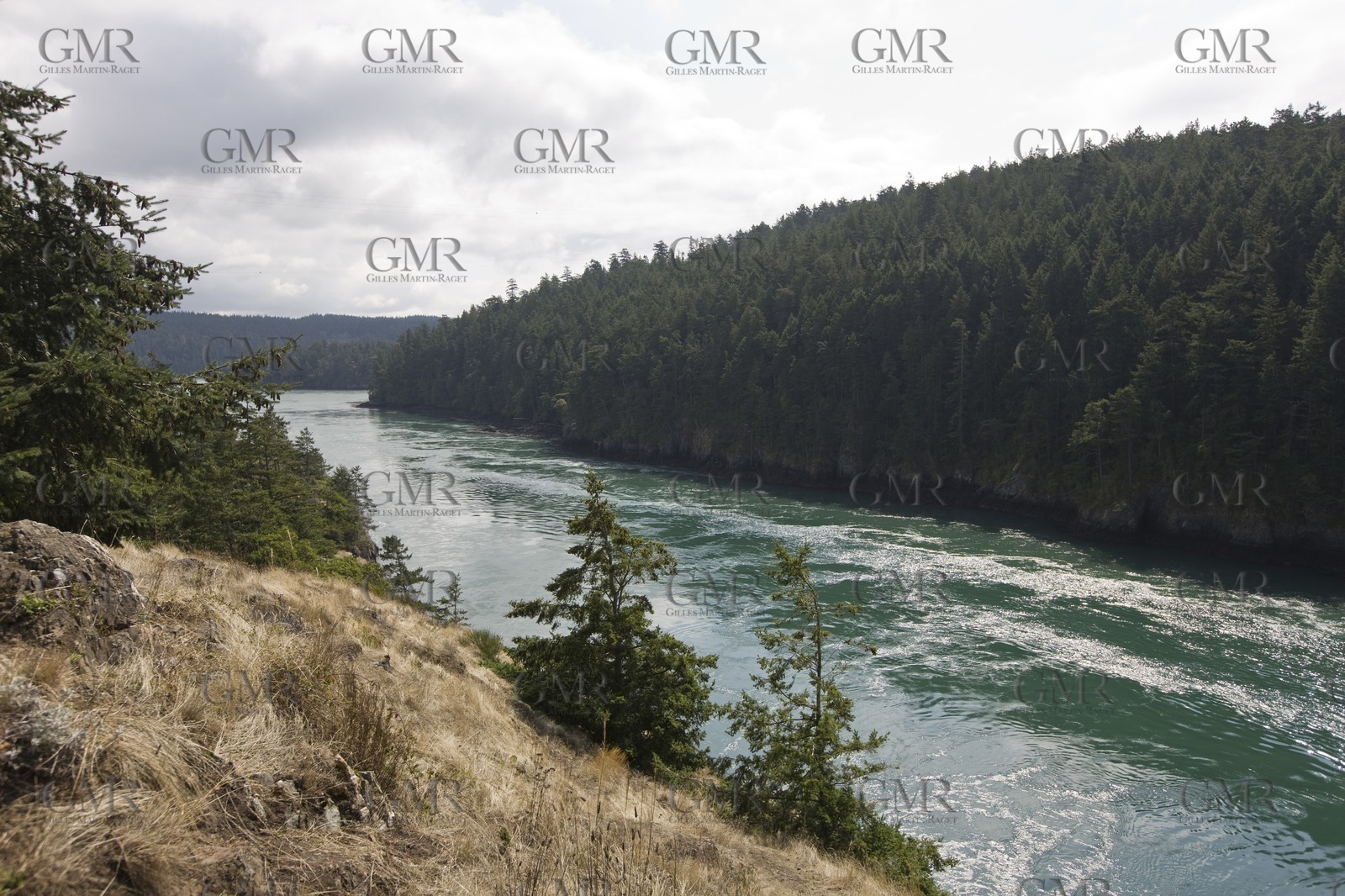01 09 2008 - San Juan Islands (WA, USA) - Killer Whales