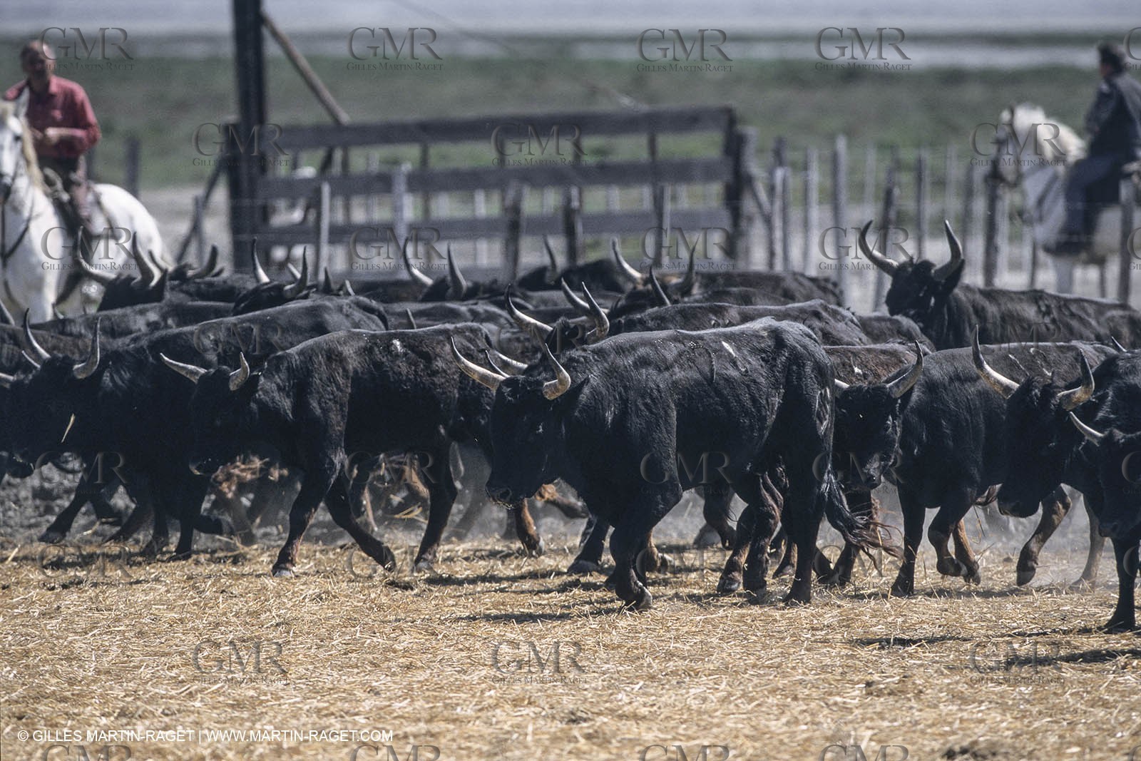 Camargue (FRA) - houses and cants from Camargue