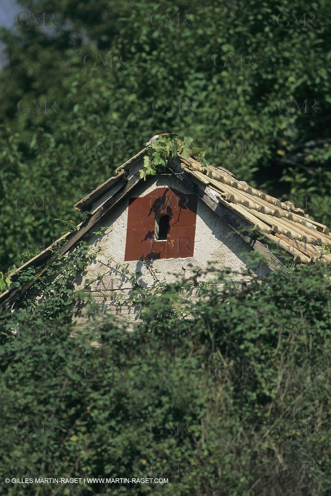France, Provence, Lubéron
