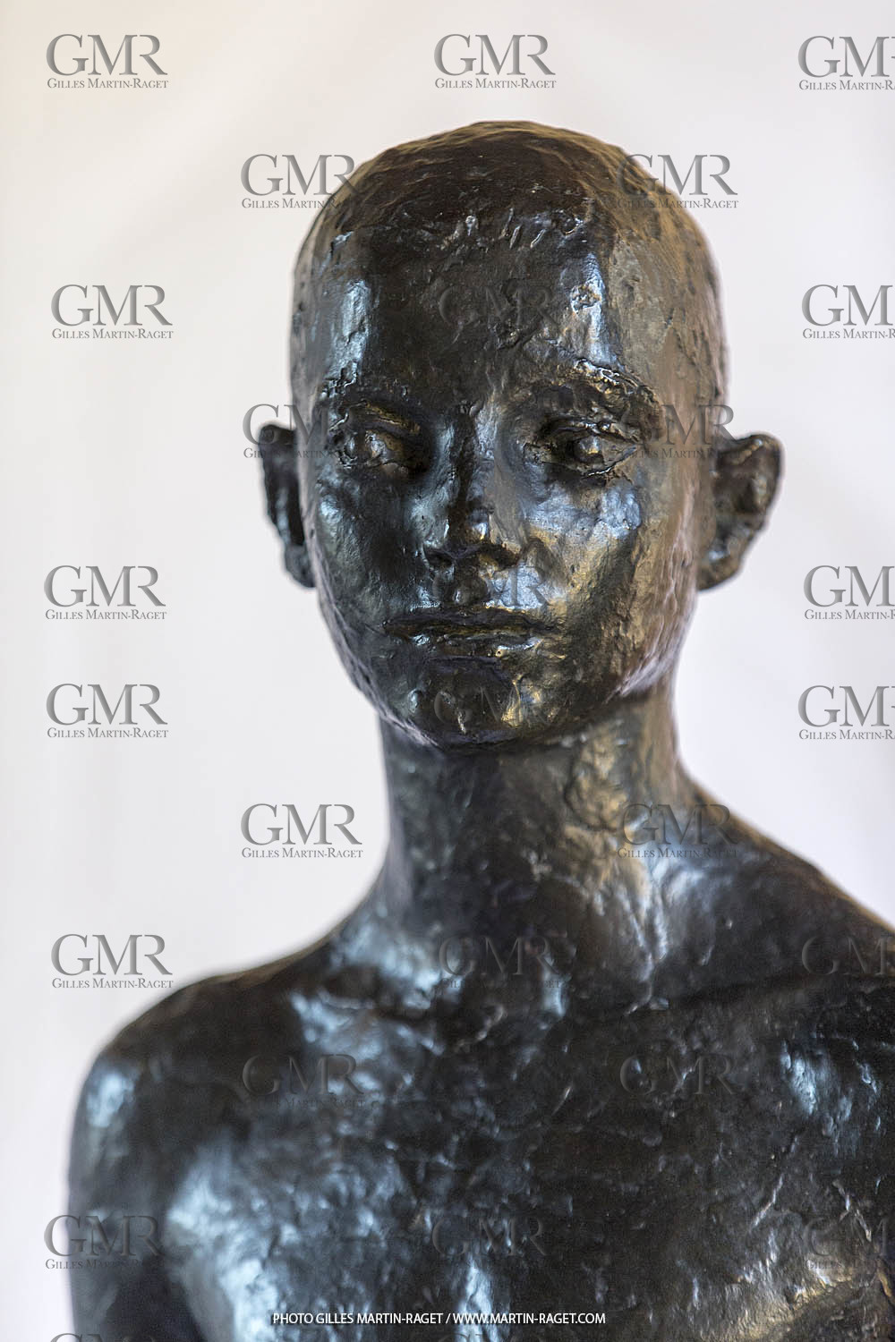 06 03 2016, Saint-Etienne du Grès (FRA,13), Oeuvre de Germaine Richier, Loretto I 1934, Bronze patiné foncé, Numéroté 4 6, fondeur Susse, Paris, 160 x 52 x 35 cm, Collection particulière