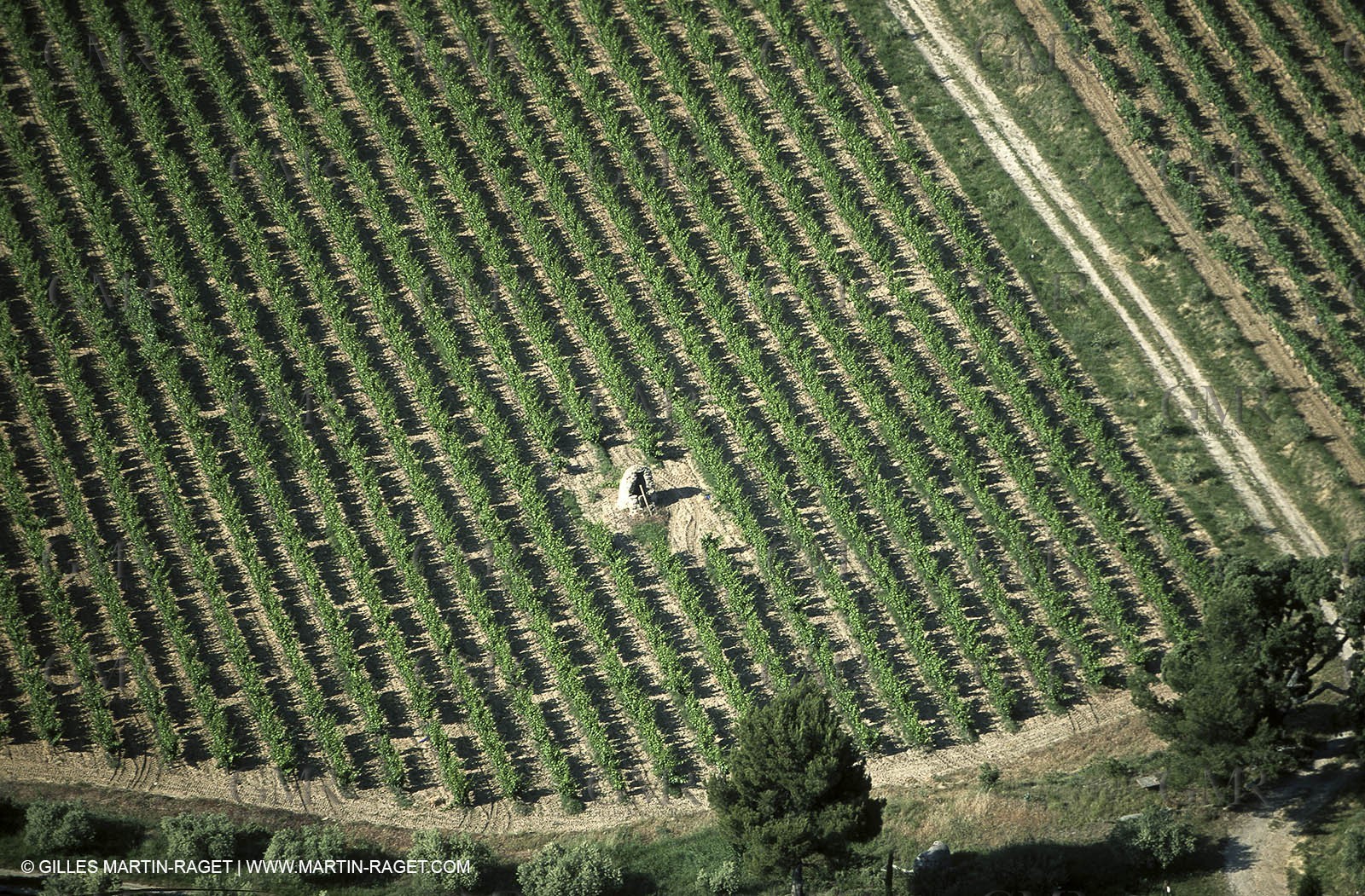 Aix en Provence area - Puyloubier
