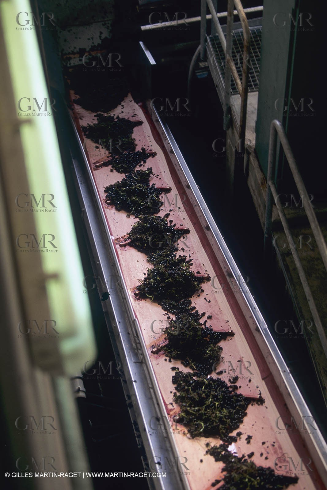 Vin, Vigne , Vendanges, vignification, vignobles, France, Provence, Côte du Rhône, Rosé