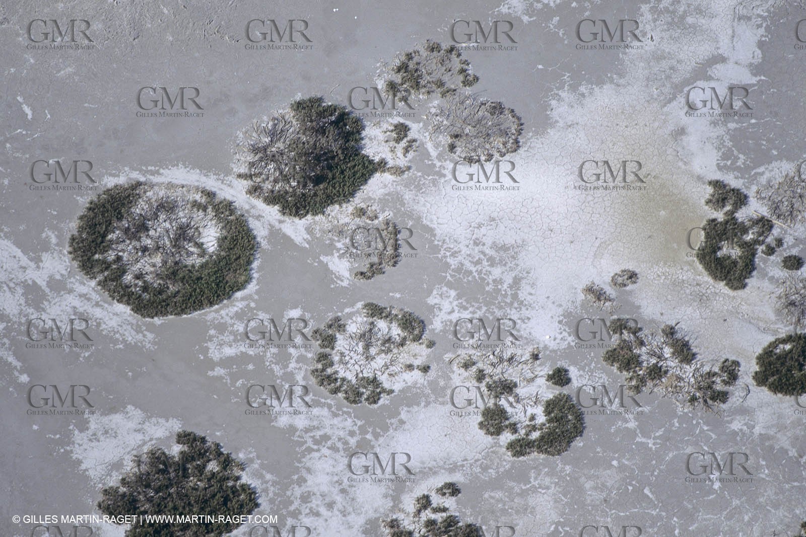 France, Provence, Camargue, Nature, marais, plage, beaches, marshes