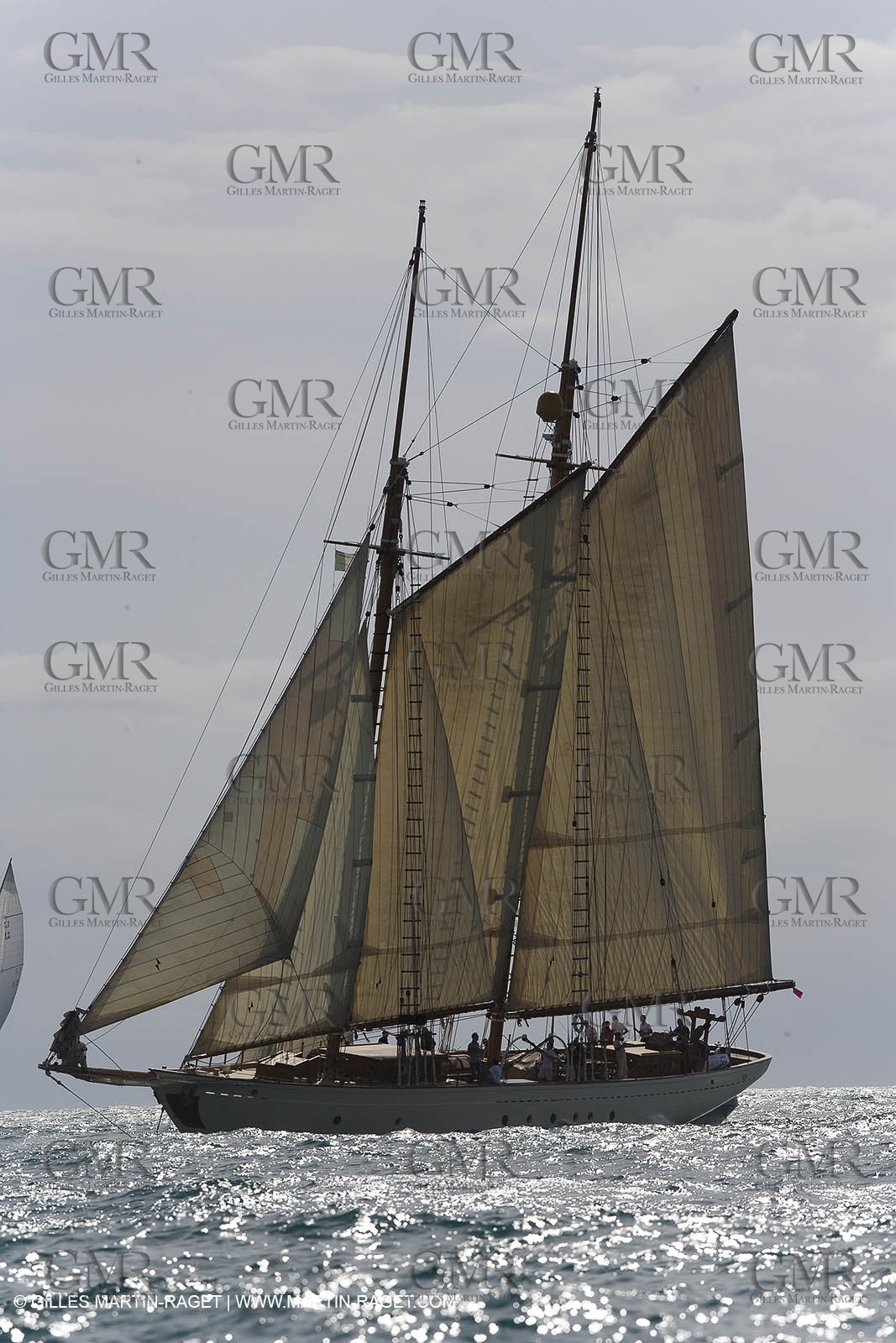 YC9H4614.JPG