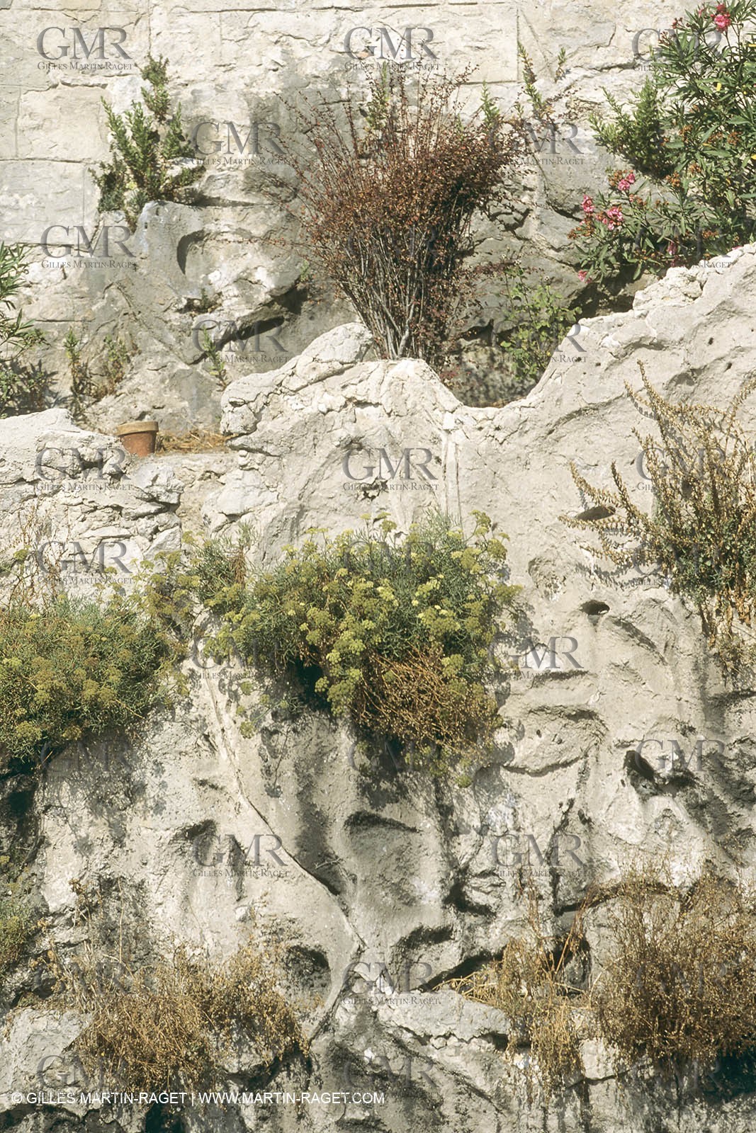 Marseille historical heritage (check keywords for more infos), Oeuvre des rocailleurs