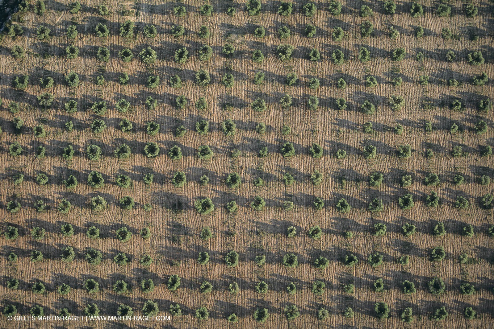France, Provence, Etang de Berre