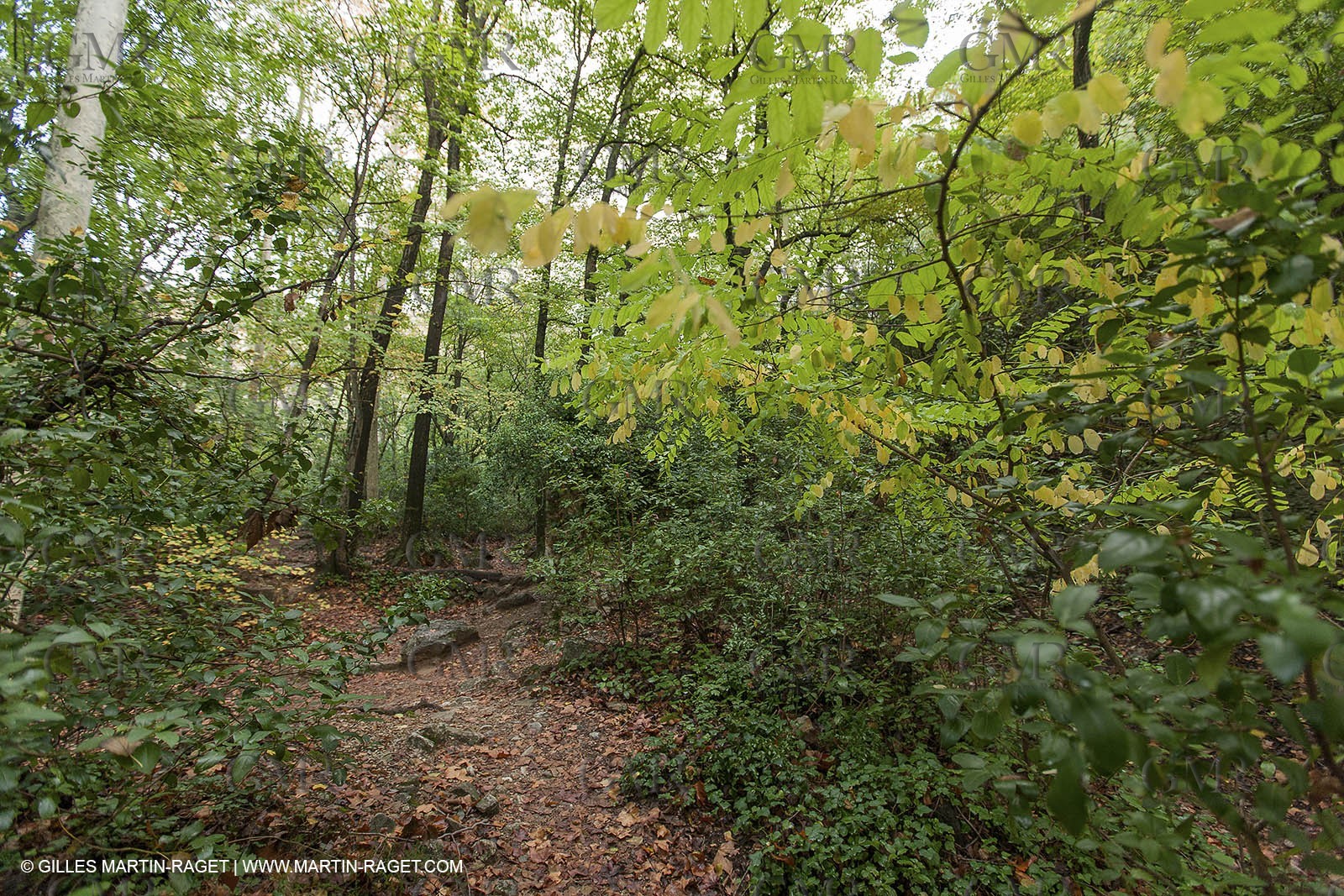 23 10 2012 - Gemenos (FRA) - Départemental Park of Saint Pons valley