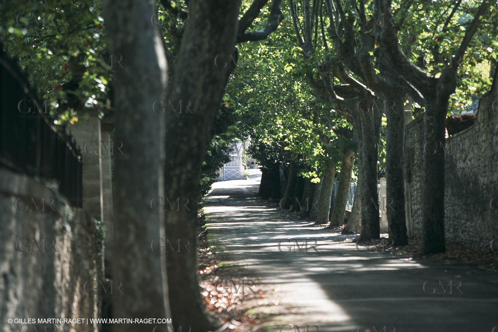 Nîmes Métropole landscapes (FRA,30) - Vaunage