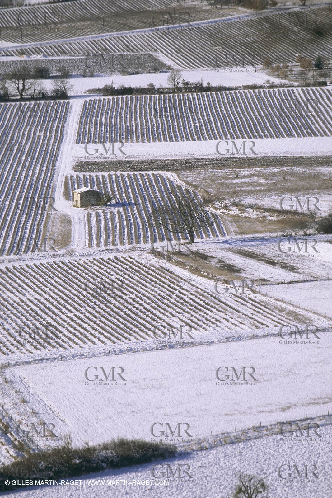 France, Provence, Neige en hiver   Snow in Provence