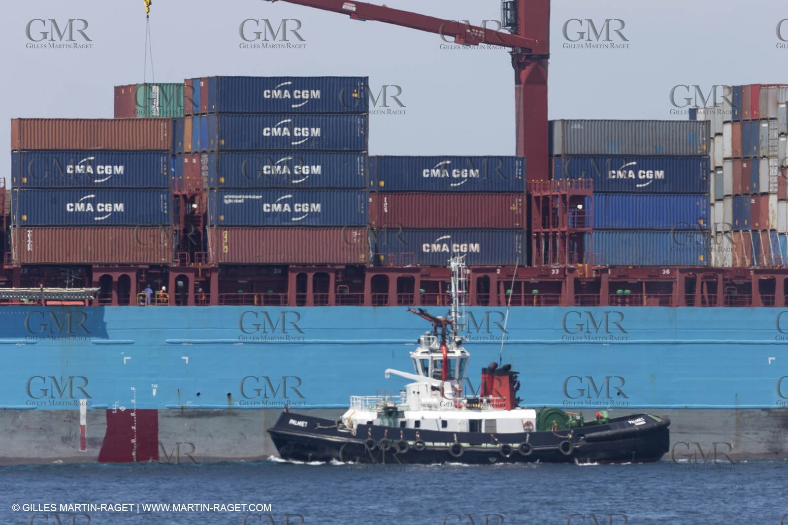 12 11 2014, Capetown (ZAF), Volvo Ocean Race 2014-15, Team Alvimedica goes back training