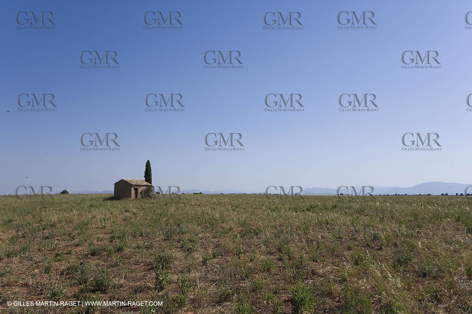 13 08 2007 - Valensole (04) - lavender fields on Valensole plateau