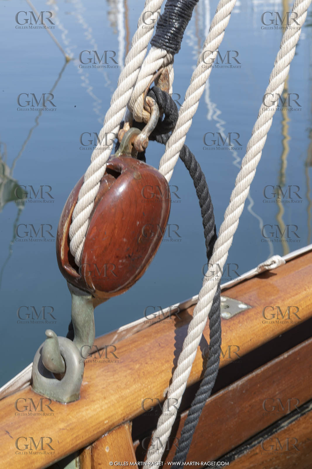 29 03 2019, Barcelona (Spain), Marigold