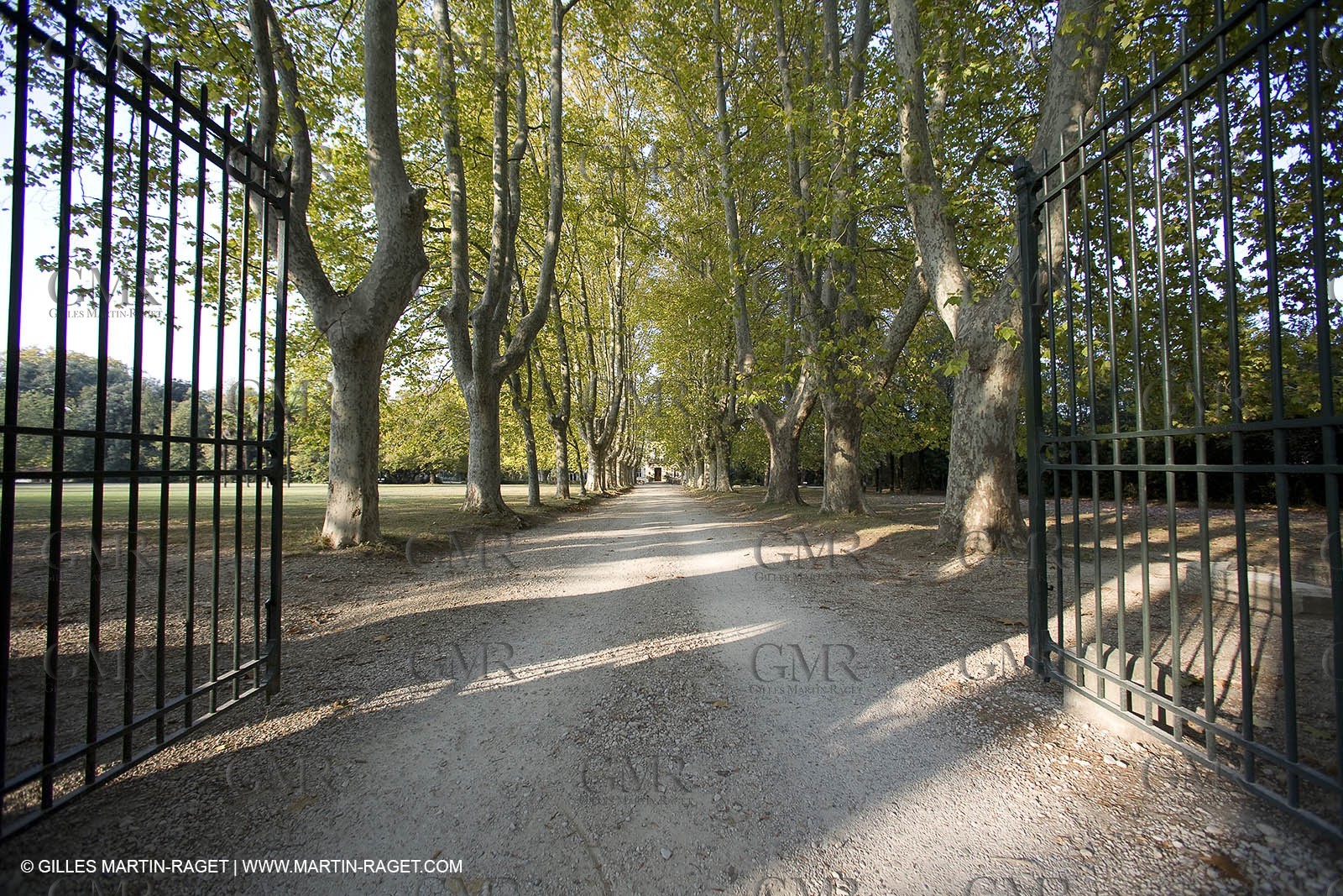28 10 2007 - St Rémy de Provence (FRA,13) - Chateau des Alpilles