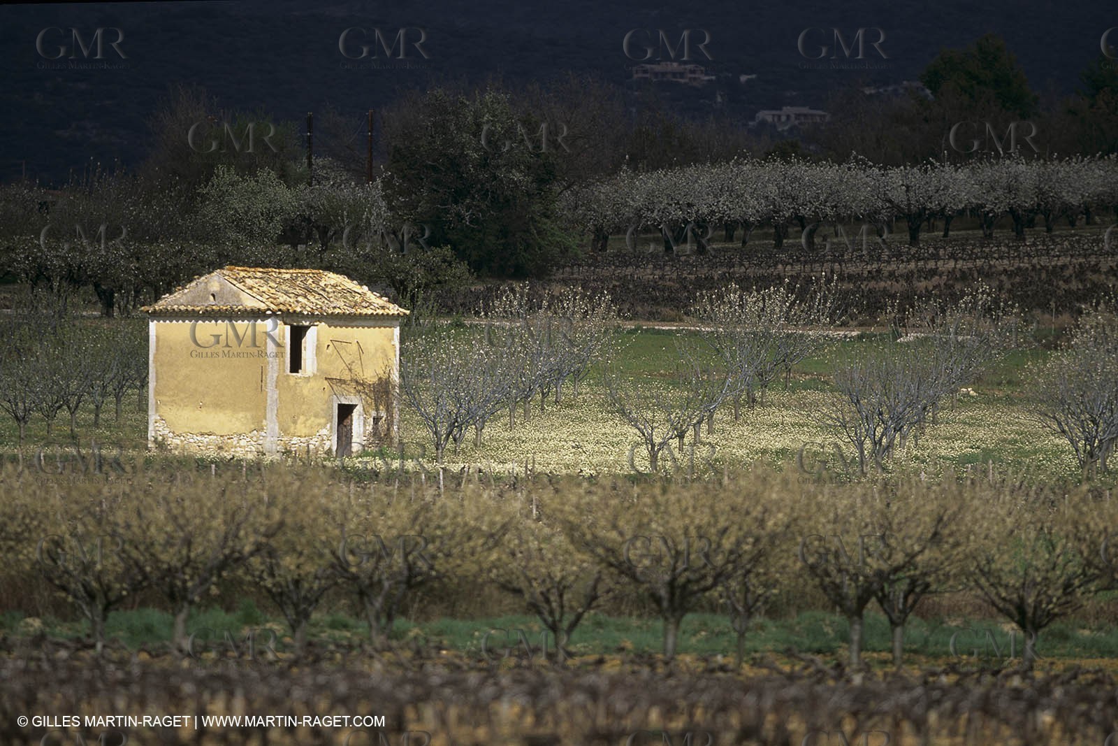 Luberon in winter near Saint Satrunin les Apt (FRA,84)