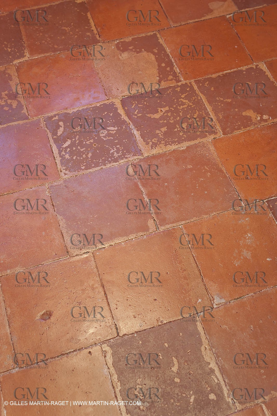 22 12 2008-Carcès (FRA,83) - Domaine du Lac