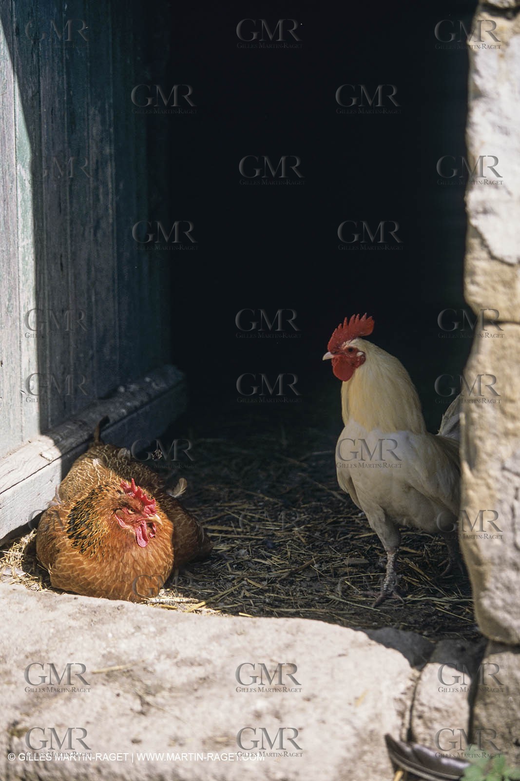 Camargue (FRA) - houses and cants from Camargue