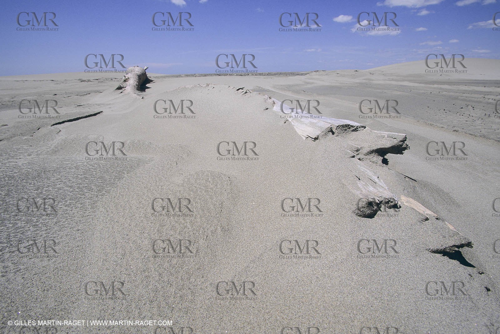 France, Provence, Camargue, Nature, marais, plage, beaches, marshes