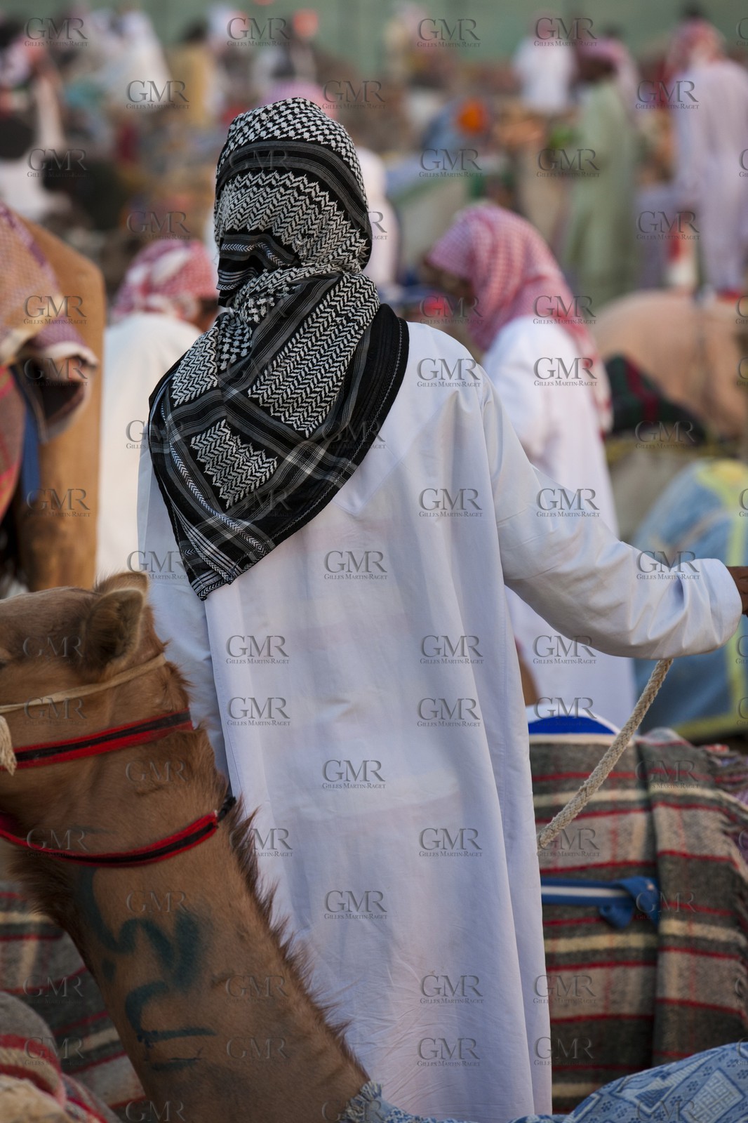 20 11 2010 - Dubai (UAE) - Camel races