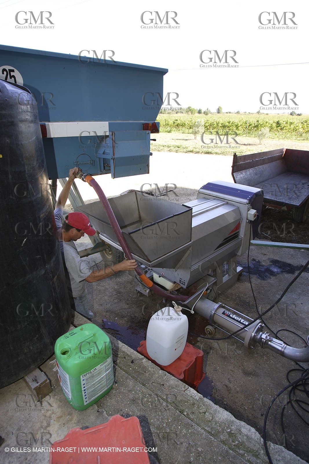 Harvest - D'or et de Gueule castle