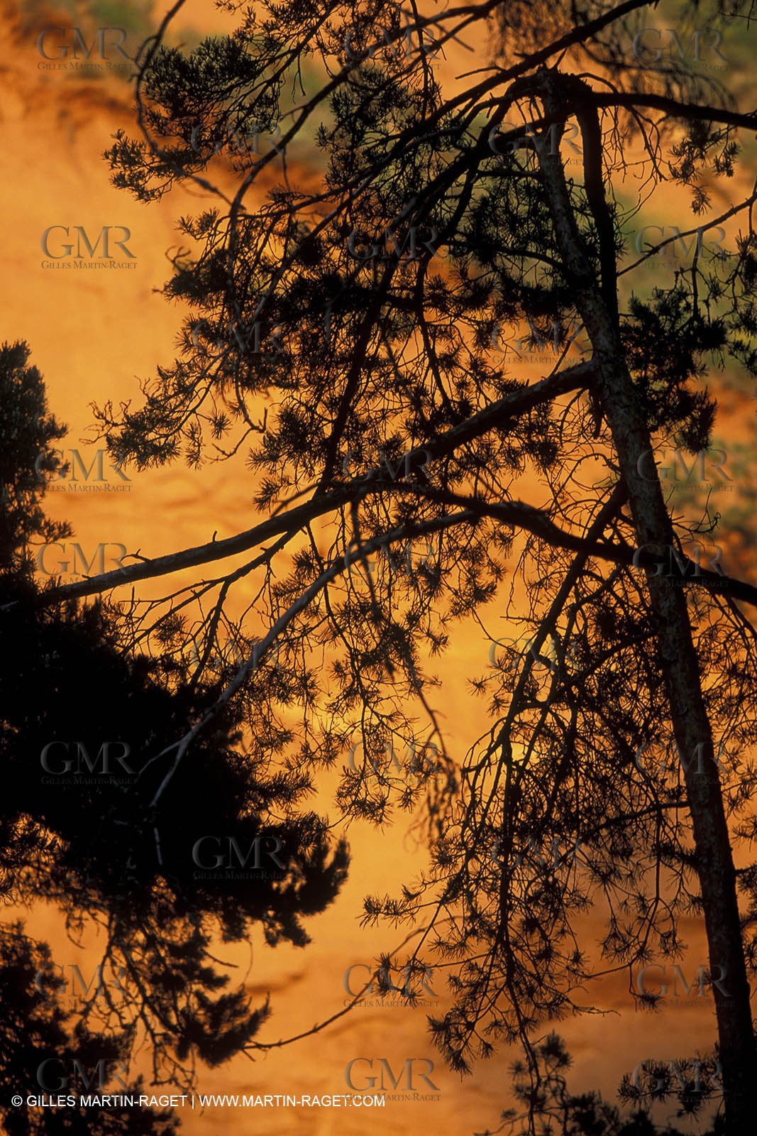 France, Provence, Luberon, Carrières d'ocre près d'Apt, ocher stone pit near Apt