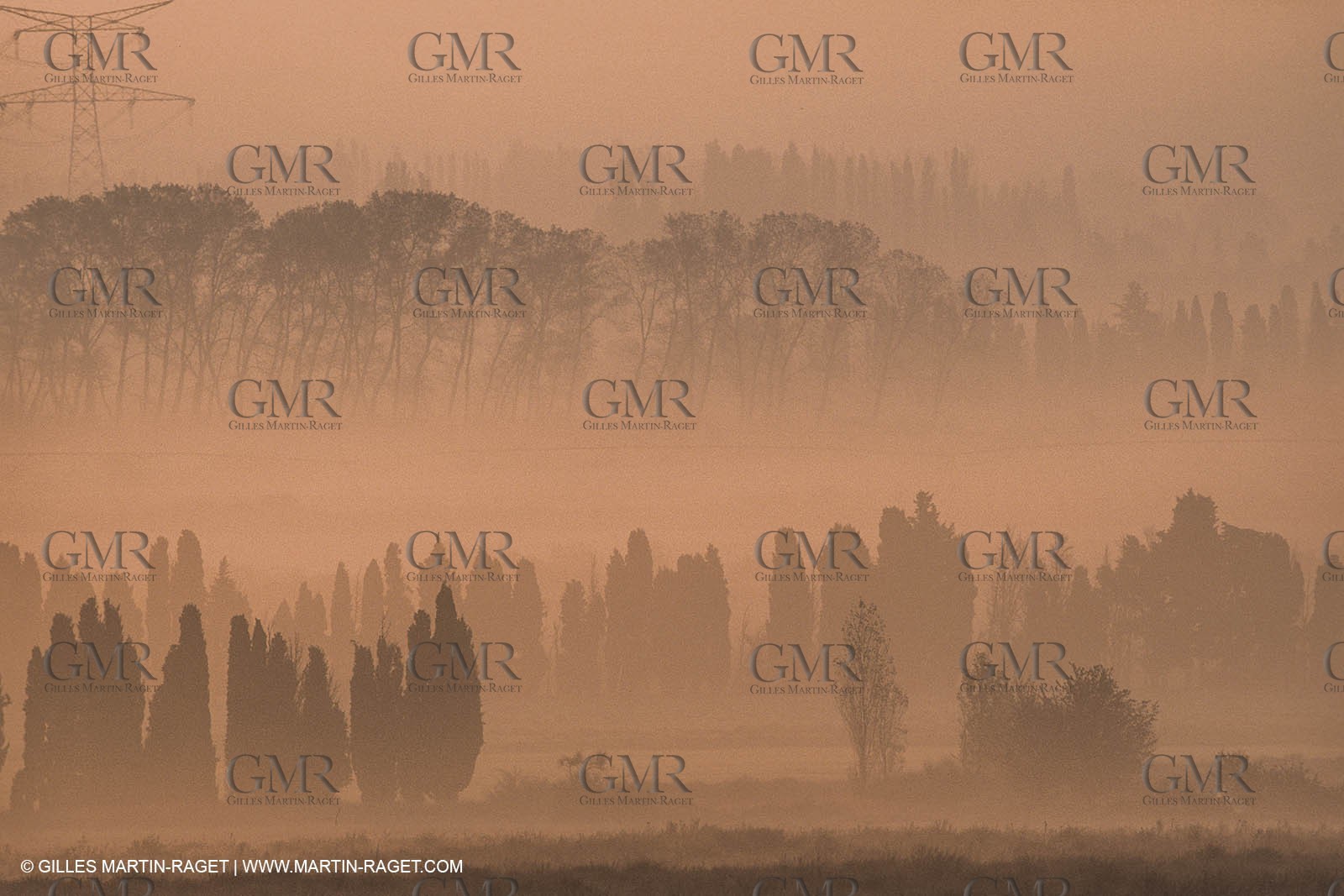 France, south, Alpilles landscapes