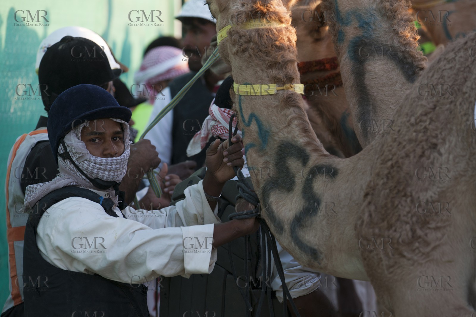 20 11 2010 - Dubai (UAE) - Camel races