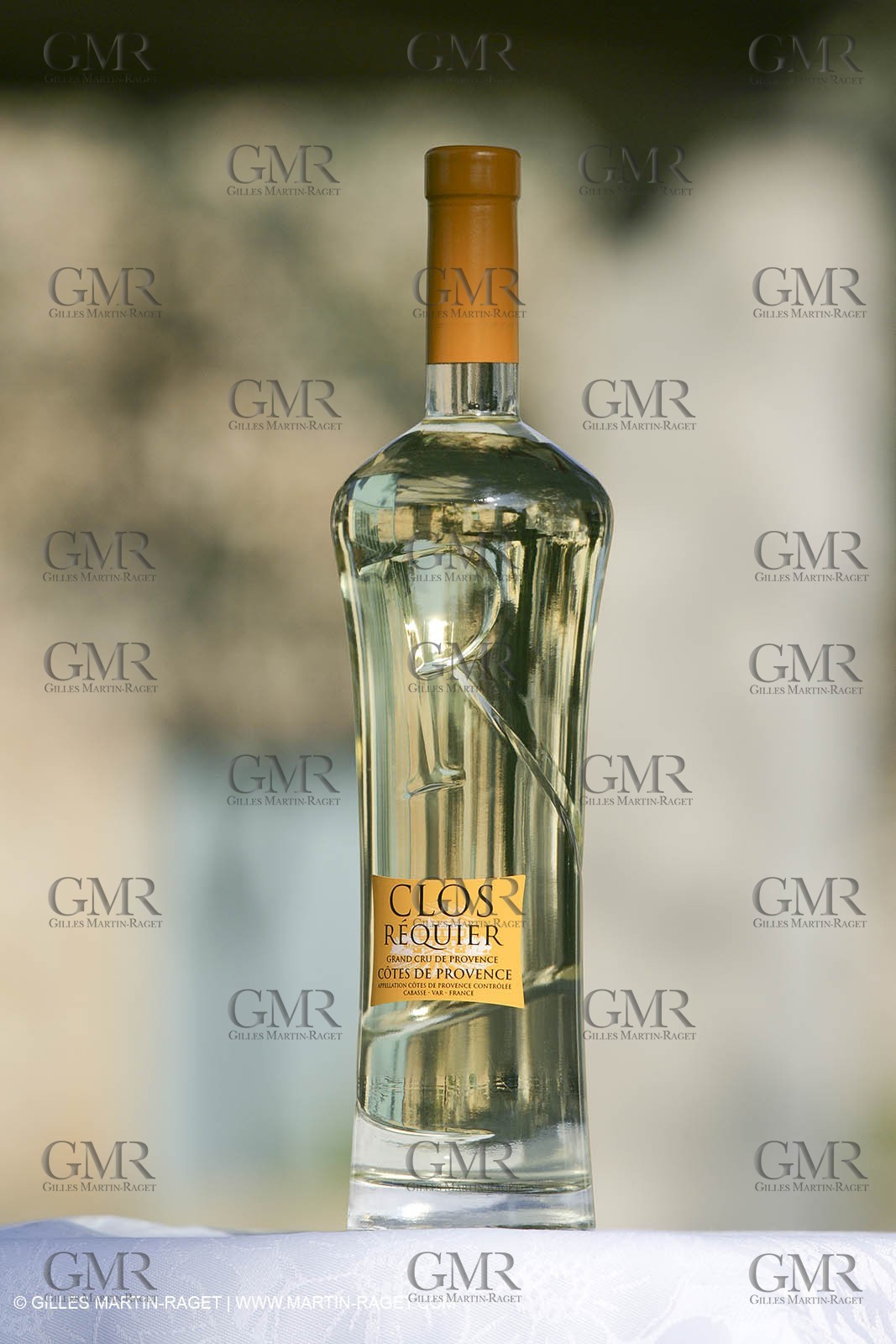 28 02 2008 - Cabasse (FRA, 83) - Domaine du Lac vines