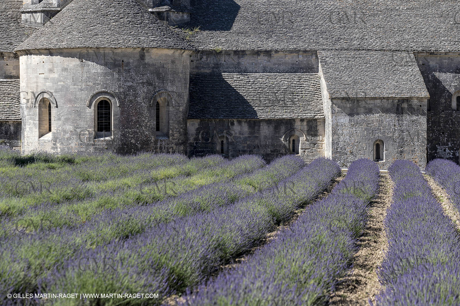 25 06 2018, Gordes (FRA,84), Abbaye de Sénanque