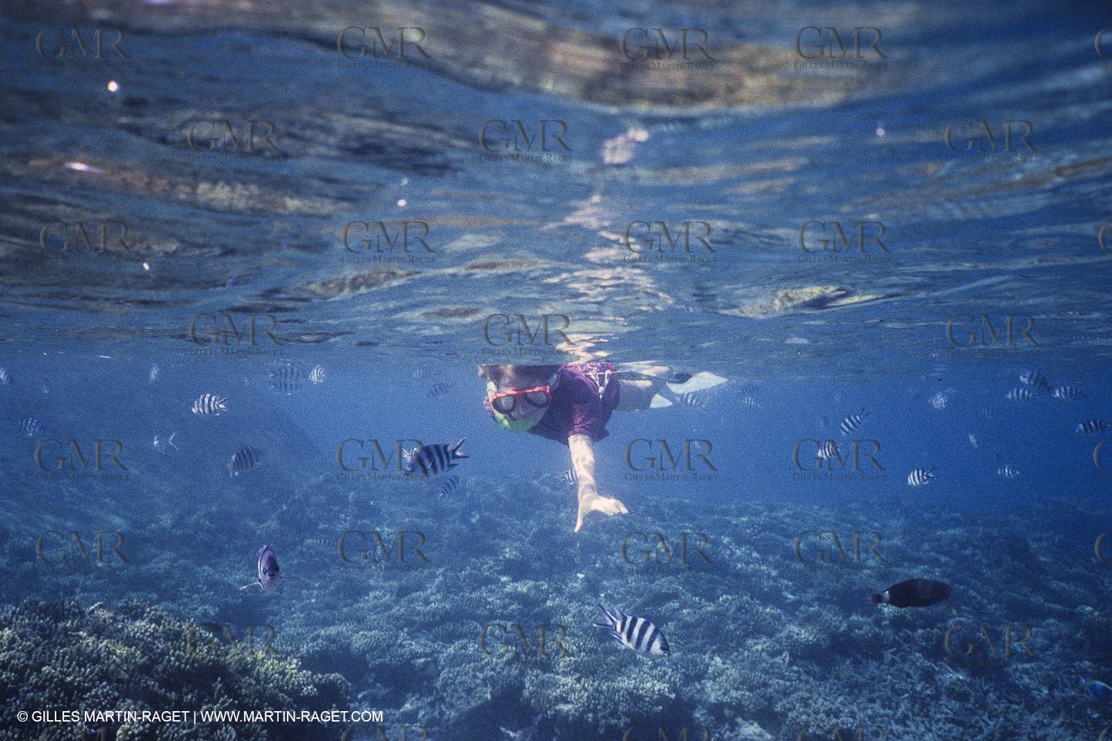 Voile, croisière, personnages