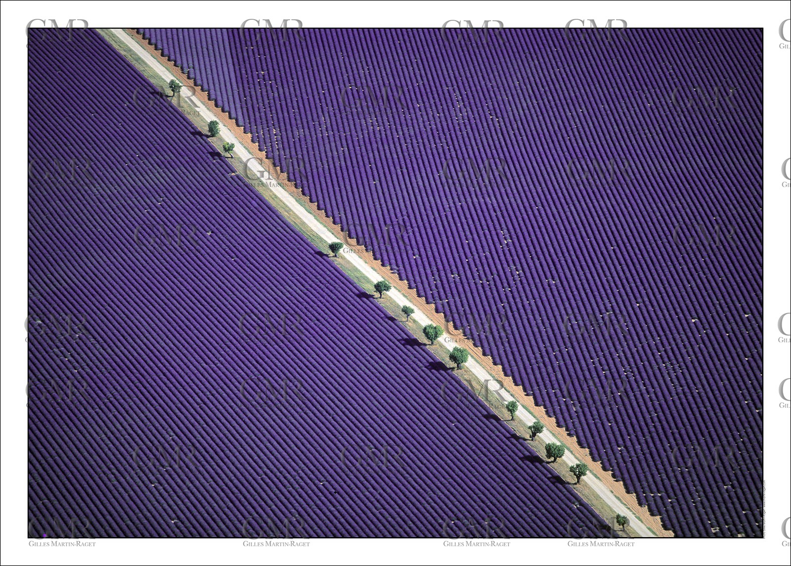 Product: in house made quality print on 8 ultrachome colors Epson ink Jet printer.Available sizes: . 30x40 cm. 50x70 cm. 80x120 cmAvailable papers: . Standard 250 gr glossy paper print, black streak, white margin, no signature. Top quality glossy 290 gr. paper, black streak, white margin, checked and signed by the author. Fine Art print (signed, numbered, stamped, registered) on demand. Other supports (Canvas, Acrylic, Metal) on demandPackaging: cylindric reinforced tubeShipping options: regular mail or Shipping companyClick on the basket icon to select your options and start the online ordering process