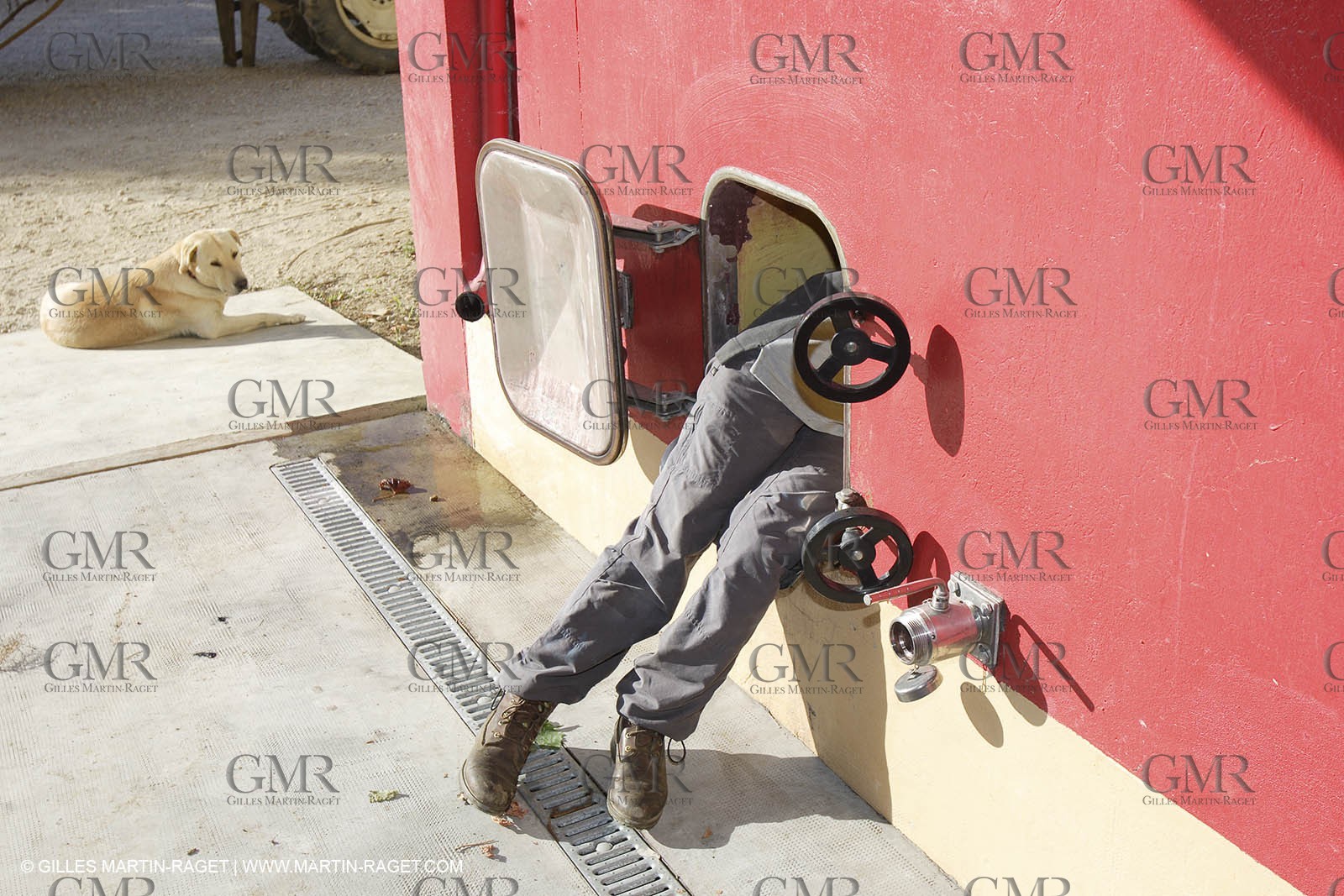 Harvest - D'or et de Gueule castle