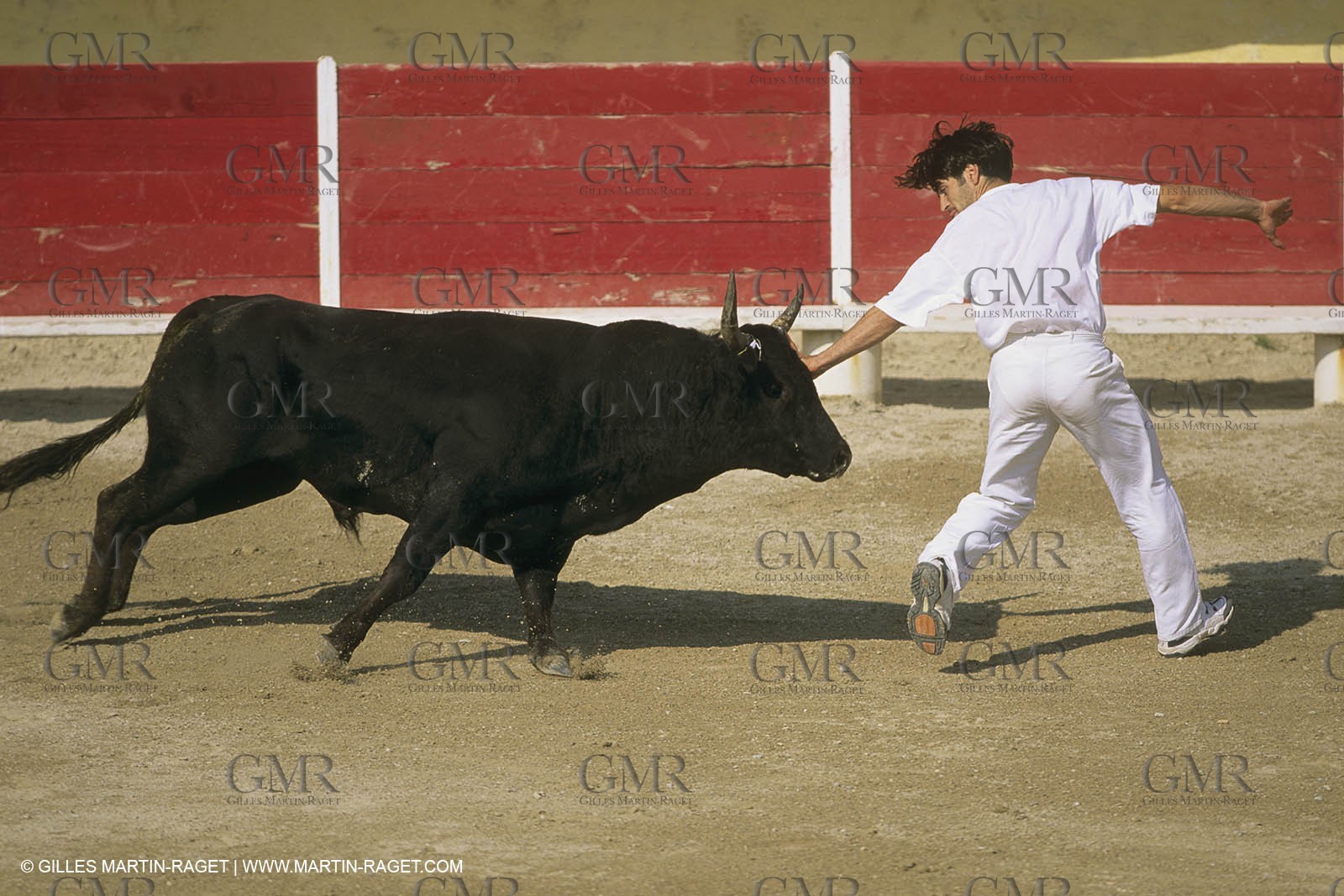 France, Provence, Course libre