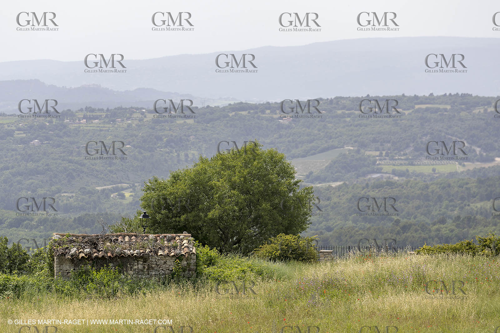 10 06 2018, Caseneuve (FRA,84)