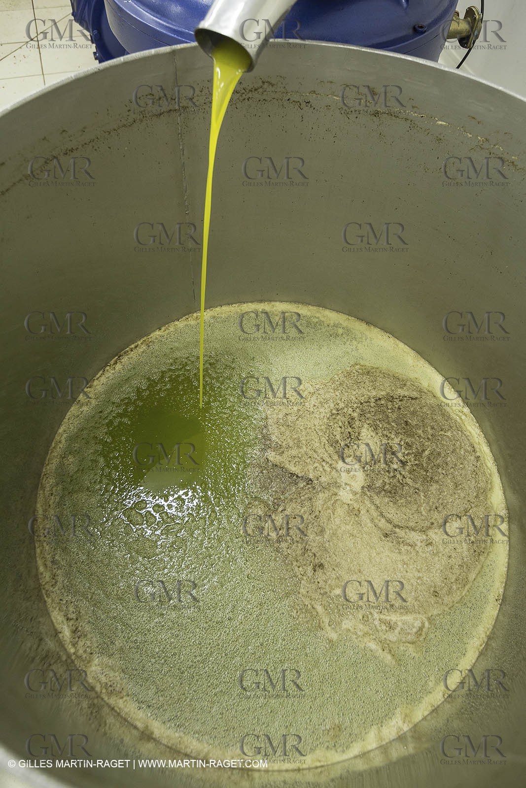 22 11 2012 - Fontvieille (FRA,13) - Olive oil making at Bedarrides olive oil mill