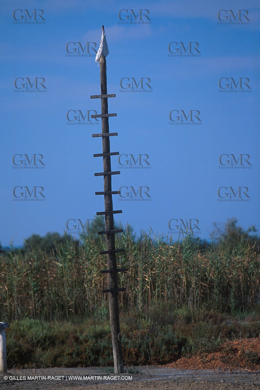 Camargue typical house