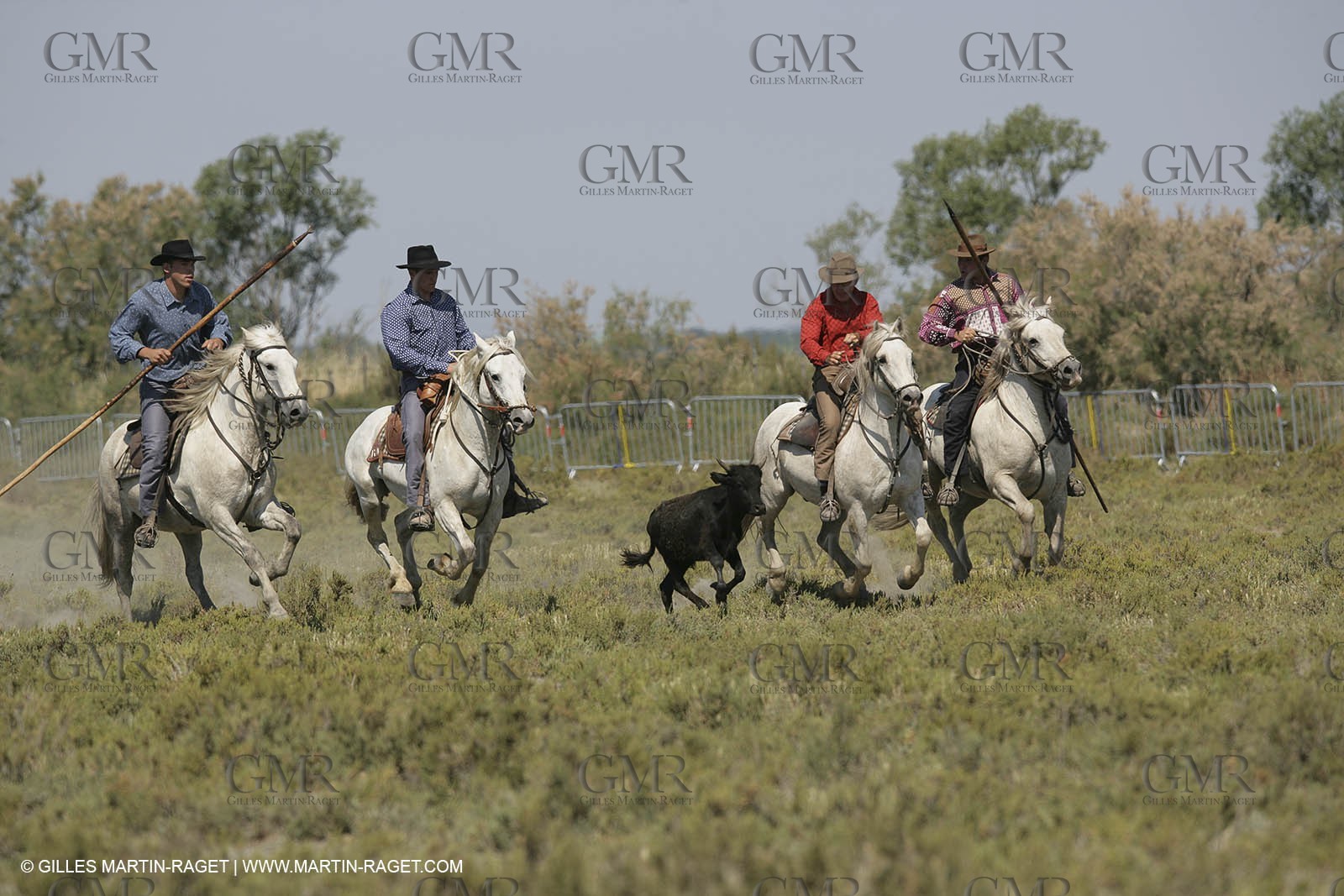 Arles 2006, Course de sastin
