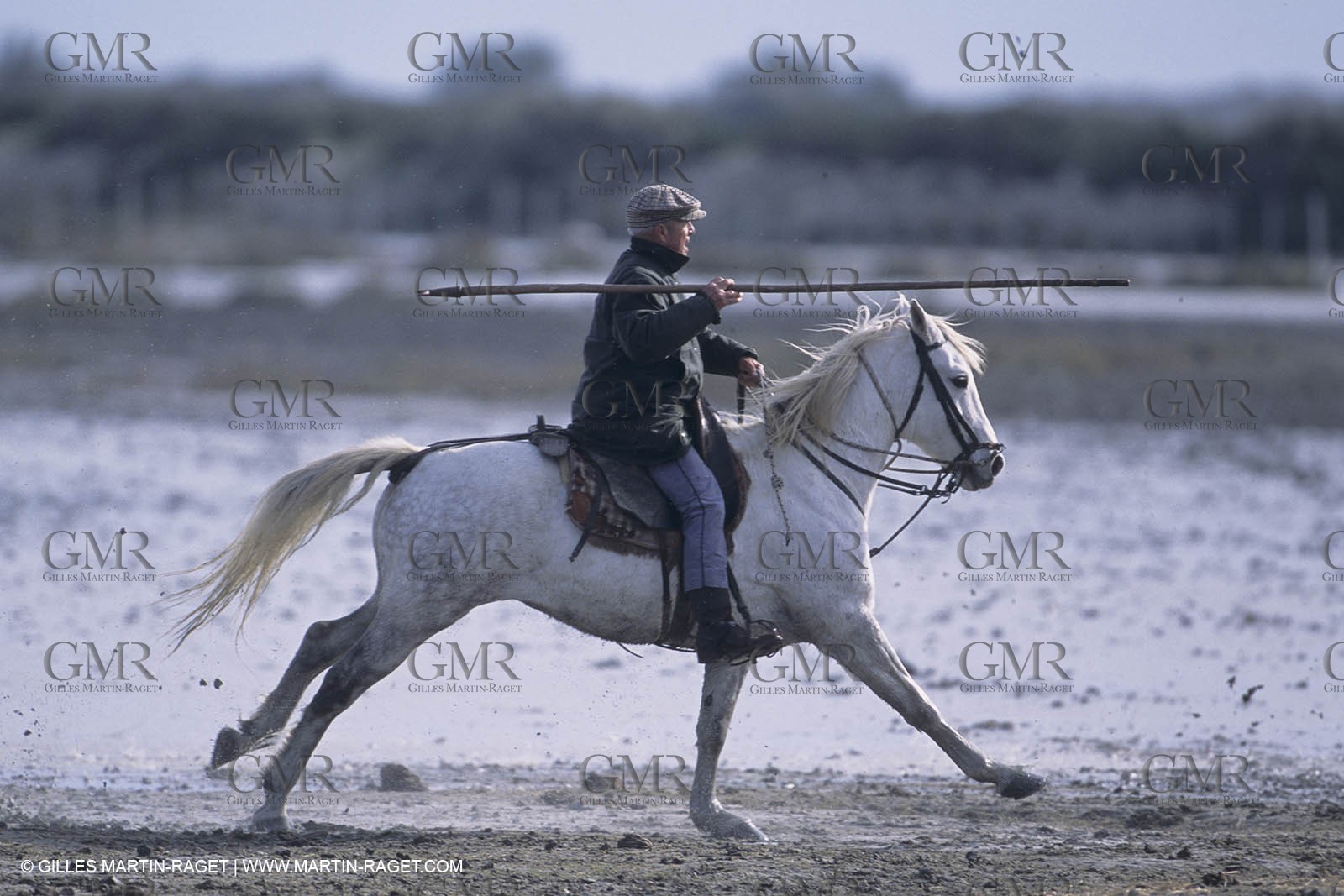 France, Provence, Camargue, Gardians de Camargue, métier, fêtes, élevage, tri